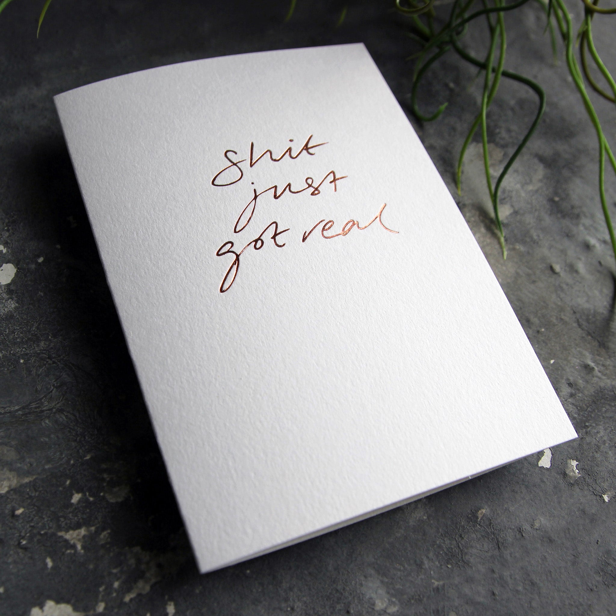 Luxury white greetings card with "Shit Just Got Real" handwritten in the front and hand printed in rose gold foil on a grey background with some green plant leaves at the side.