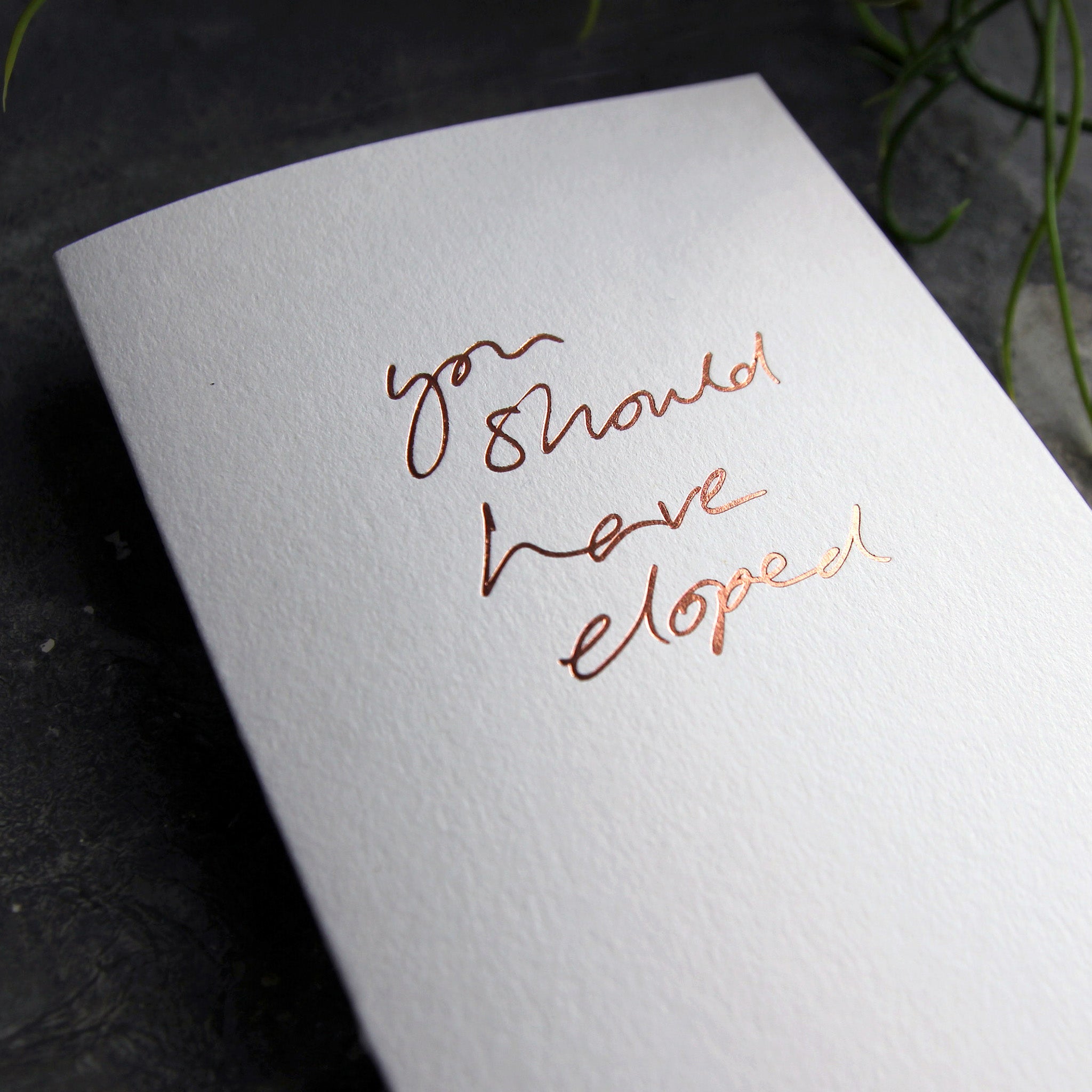Close up of luxury white greetings card with "You Should Have Eloped' handwritten in the front and hand printed in rose gold foil on a grey background with some green plant leaves at the side.