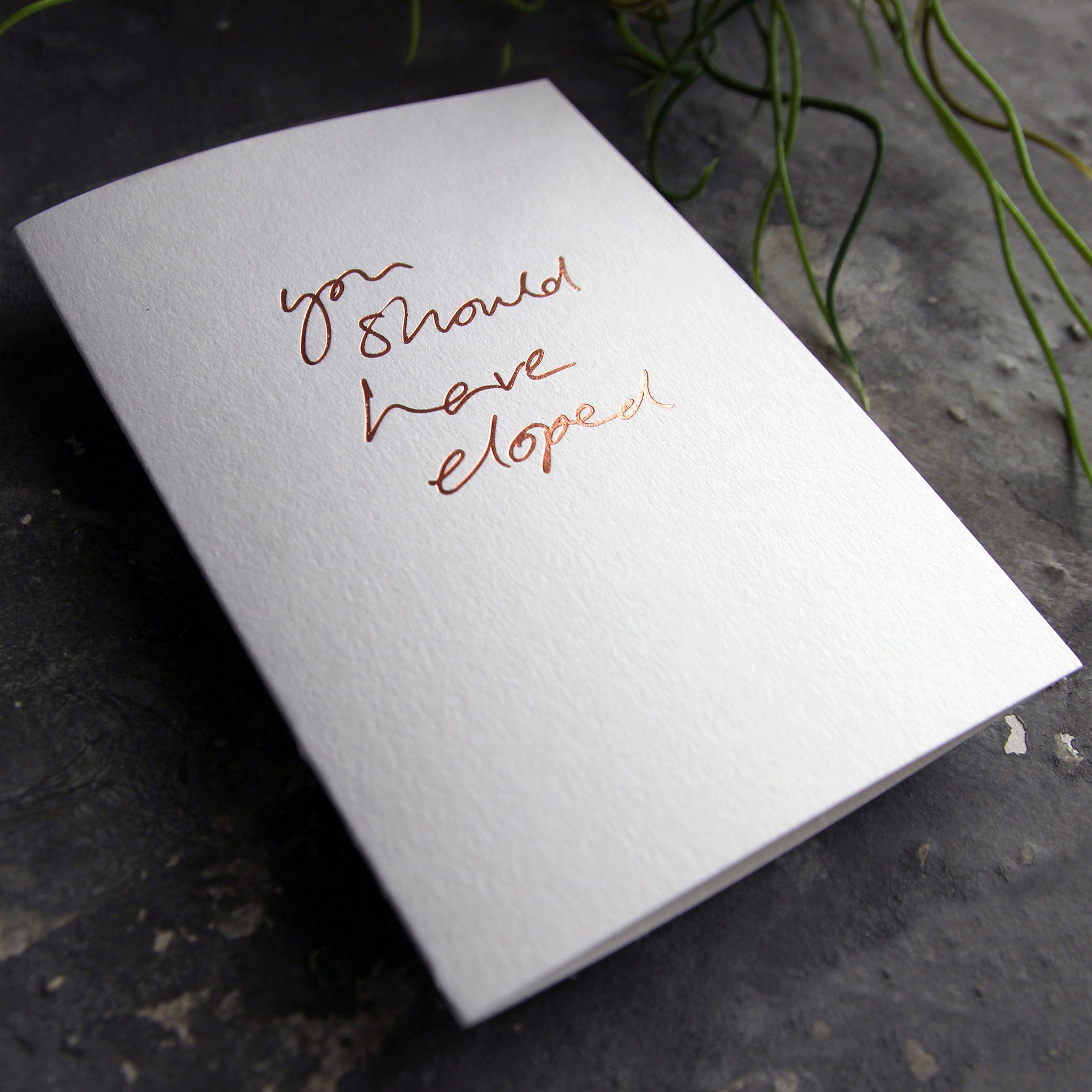 Luxury white greetings card with "You Should Have Eloped' handwritten in the front and hand printed in rose gold foil on a grey background with some green plant leaves at the side.